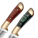 Coltello disossatore per frutta e carne 16 cm Lama 7,2 cm Coltello da taglio portatile Manico rosso o verde Coltello per BBQ uso esterno 2