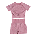 Completo sportivo da donna Pantaloni corti e maglietta a maniche corte Completo fitness monocolore in nylon, poliestere e spandex 3