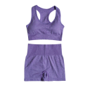 Compleu sportiv pentru femei Pantaloni scurți și sutien sportiv Compleu fitness uni din nylon, poliester și spandex de vară 5