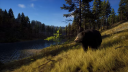 Compte Steam Way of the Hunter 4