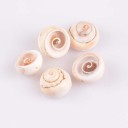 Concha do mar 10 pcs A2716 4