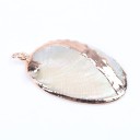 Concha Dourada 2 unid 5