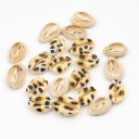 Conchas decorativas con adornos 10 uds C519 2