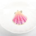 Conchas decorativas douradas 5 unid 2