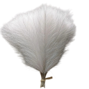 Conjunto 10 pcs de relva pampas artificial 42 cm Decoração de seda para vaso, mesa, casamento, jardim, decoração doméstica e exterior para celebrações e festas 2