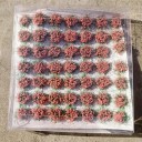 Conjunto de 49 unidades de tufos de flores 6–8 mm Grama modelada autocolante Tufos de flores coloridas para dioramas e mini paisagens 3