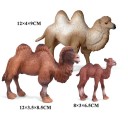 Conjunto de animais família de camelos 2