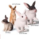 Conjunto de animais família de coelhinhos 2