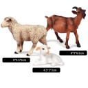 Conjunto de animales familia ovejas 2