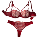 Conjunto de encaje para mujer con sujetador y braguitas con bordado y suave malla de elastano y poliéster para uso diario 1