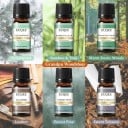 Conjunto de óleos aromáticos Grandpa Woodshop 6×10 ml óleos essenciais para difusor embalagem de presente 165×72 mm aromaterapia lar 2