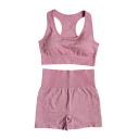 Conjunto deportivo de mujer con pantalones cortos y sujetador deportivo Conjunto de fitness de un solo color de nylon, poliéster y spandex de verano 3