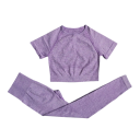 Conjunto deportivo para mujer Leggings y camiseta de manga corta Conjunto de fitness de color sólido de nylon, poliéster y spandex 5