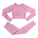 Conjunto deportivo para mujer Leggings y camiseta de manga larga Conjunto de fitness de un solo color de nylon, poliéster y spandex 3