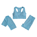 Conjunto desportivo feminino Calções sutiã desportivo e t-shirt de manga curta Conjunto de fitness em nylon 2