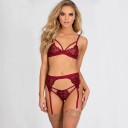 Conjunto sexy feminino - sutiã, tanga e ligas 2