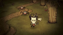 Conta Steam Don't Starve Together 4