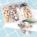 Coquillages naturels décoratifs 100 pcs 1