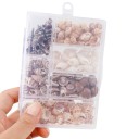 Coquillages naturels décoratifs 100 pcs 4