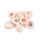 Coquille marine 10 pcs A2716 1