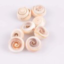 Coquille marine 10 pcs A2716 3