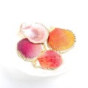 Coquilles décoratives dorées 5 pcs 5