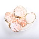 Coquilles décoratives dorées 5 pcs 6