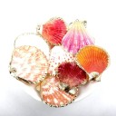 Coquilles décoratives dorées 5 pcs 4
