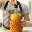 Cortador de piña 1
