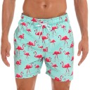 Costum de baie pentru bărbați F884 9
