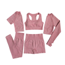 Costum sportiv pentru femei Leggings pantaloni scurți sutien sport tricou cu mânecă scurtă și lungă Costum fitness uni 3