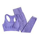 Costum sportiv pentru femei Leggings și sutien sportiv Costum fitness de o culoare din nylon, poliester și spandex 5