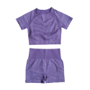 Costum sportiv pentru femei, pantaloni scurți și tricou cu mânecă scurtă, costum fitness monocrom din nylon, poliester și spandex 5