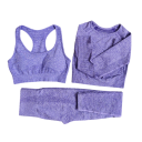 Costum sportiv pentru femei, sutien sport, tricou cu mânecă lungă și colanți, costum de fitness uni 5