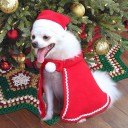 Costume de Noël pour chat ou chien 3