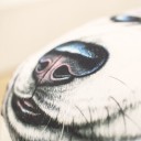 Cotton Cushion - Dog J479 17