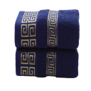 Cotton Towel 75 x 34 cm 2