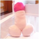 Coussin amusant 2