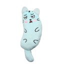 Coussin Catnip 16 x 5,5 cm Coussin pour chats en forme de chat Jouet mignon pour chats Jouet à mâcher en peluche Coussin à mâcher pour chats 2