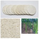 Coussin exfoliant 10 pcs 2