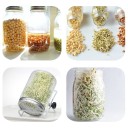 Couvercle germinateur pour bocaux 2