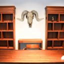Crâne de chèvre décoratif 6