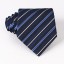 Cravată bărbătească T1203 13