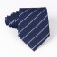 Cravată bărbătească T1203 17