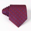 Cravată bărbătească T1203 21