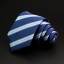 Cravată bărbătească T1211 20