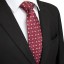 Cravată bărbătească T1236 9