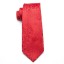Cravată bărbătească T1247 20