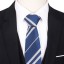 Cravată T1205 2