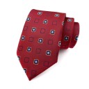 Cravate pour homme T1213 9